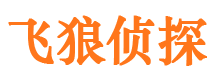 杭锦旗市调查公司